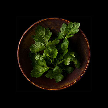 Parsley in bowl Parsley in bowl