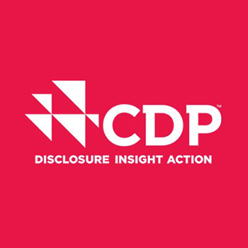 Logo CDP Logo CDP