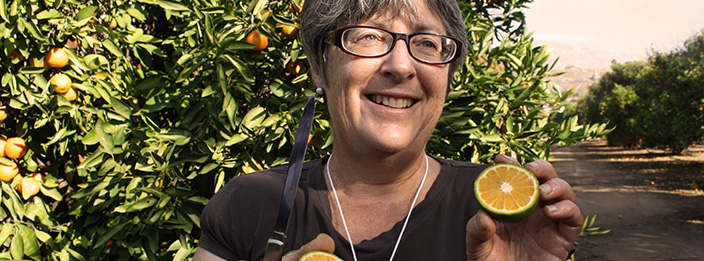 Dr Tracy Kahn, curator of the UCR Citrus Variety Collection