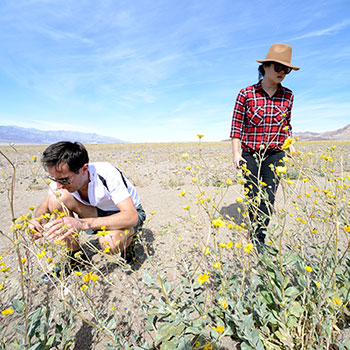 Givaudan perfumers Linda and Guillaume in the Mojave Desert Givaudan perfumers Linda and Guillaume in the Mojave Desert