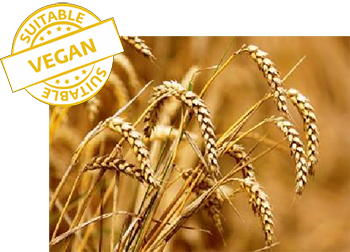 First vegan approved self-tanning range First vegan approved self-tanning range