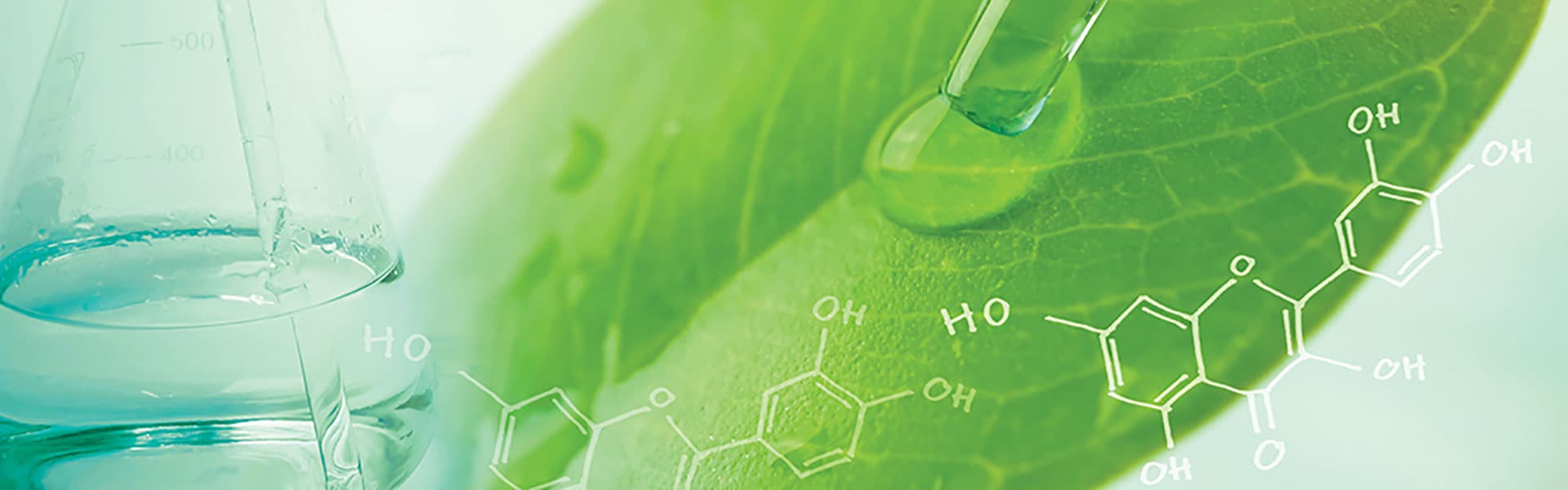 Flask with leaf and chemical structures