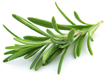 Rosemary