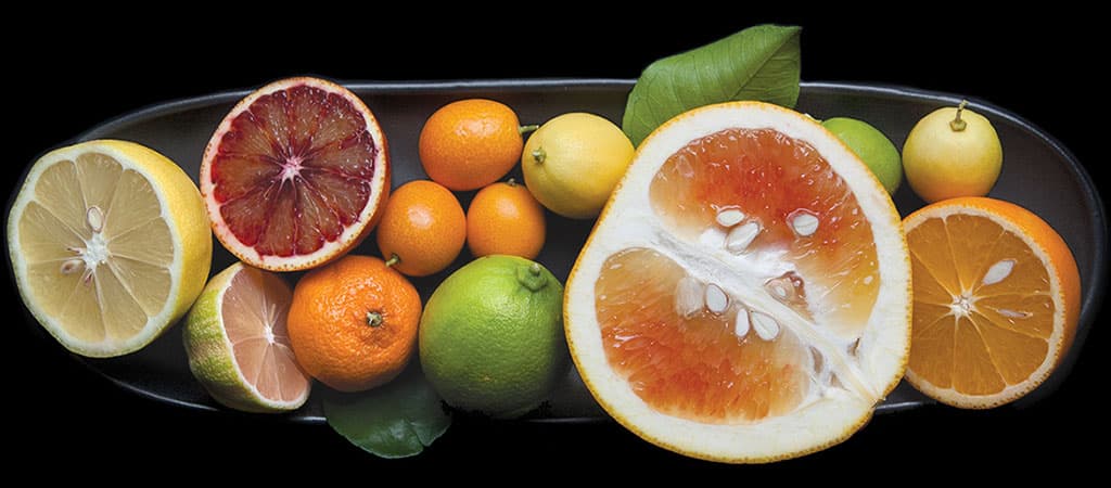 Variety of citrus fruits