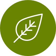 Green Fractionation