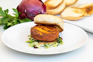 Plant-based salmon burgers