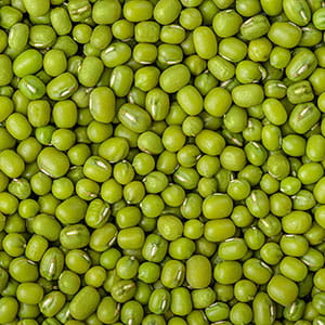 Green lentils