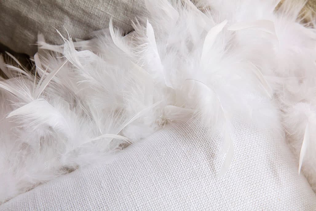 Pillows and feathers