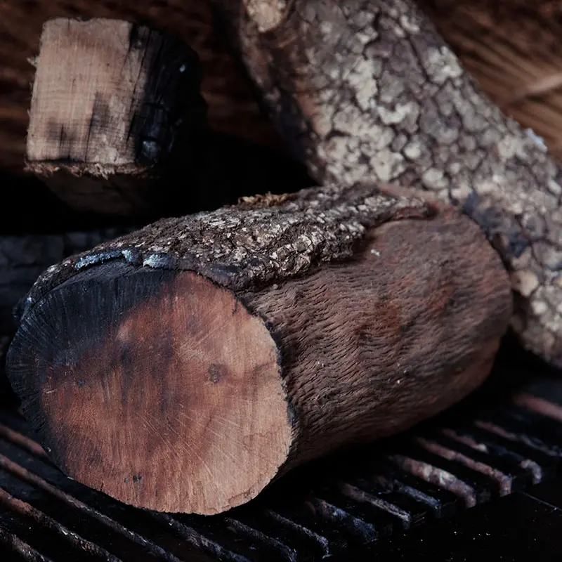 Easy Homemade Tips to Clean Moldy Grill 2023 AtOnce