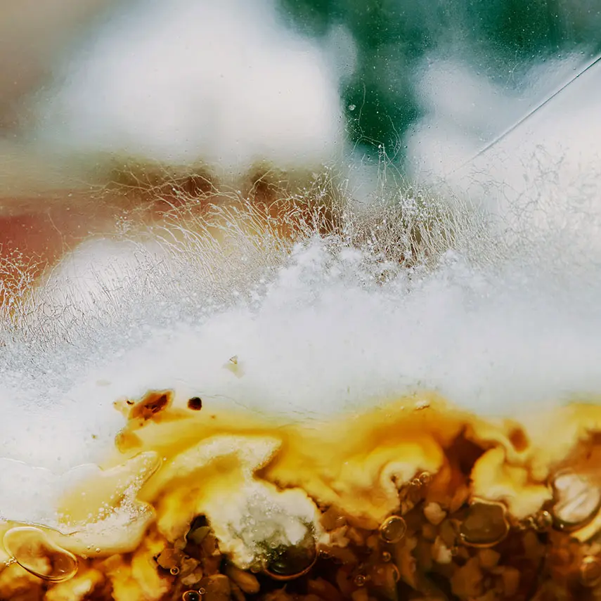 Givaudan unveils RetiLife™, a pioneering 100 naturalorigin retinol