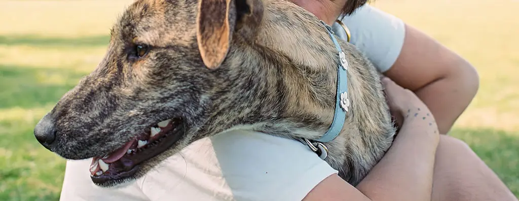 Young boy hugging a dog