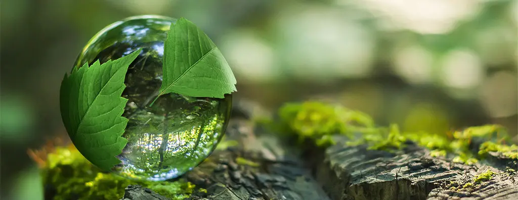 Artistic impression of a drop captured by green leafs in a forest environment
