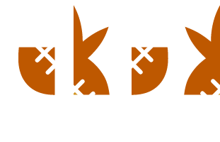 Four icons showing a sliced pineapple