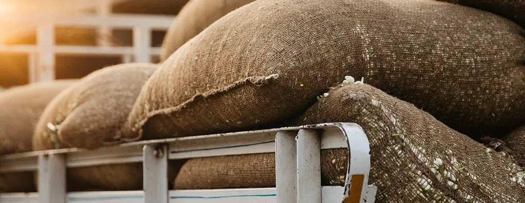 A stack of large, burlap sacks filled with agricultural produce is resting on a trailer. 