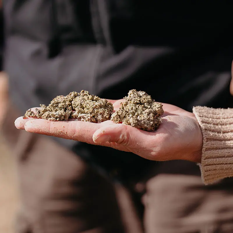 Regenerative Ag: Boosting Soil Health for WSD 2025