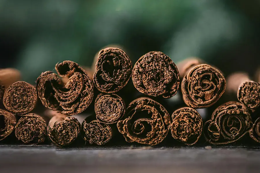 Close-up of curled ceylon cinnamon sticks stacked in a row, showcasing their rich brown hues and textured surfaces. The background is softly blurred, enhancing the warm, inviting mood.