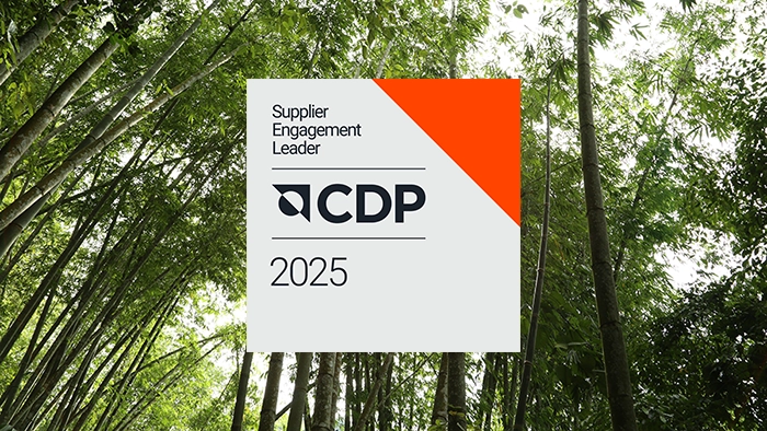CDP scores 2026