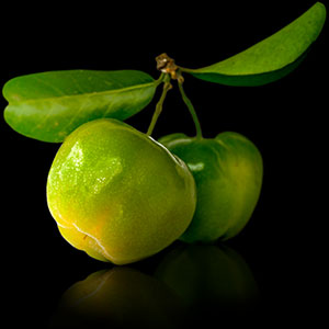 Acerola Acerola