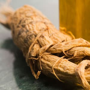 American ginseng