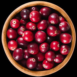 Cranberries Cranberries