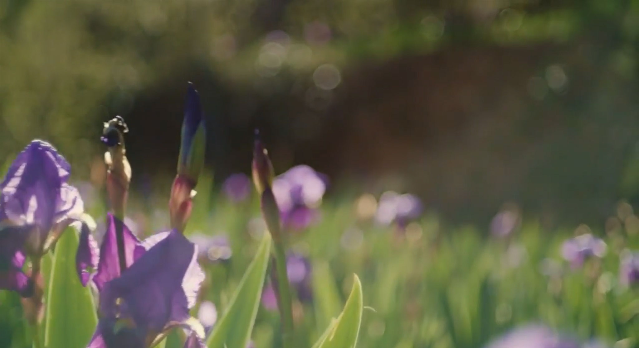 Fragrance & Beauty | Givaudan