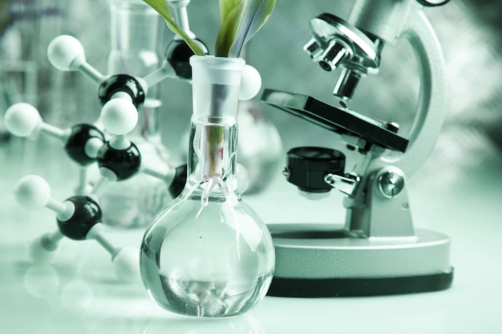 Vase with microscope and a 3D chemical structure