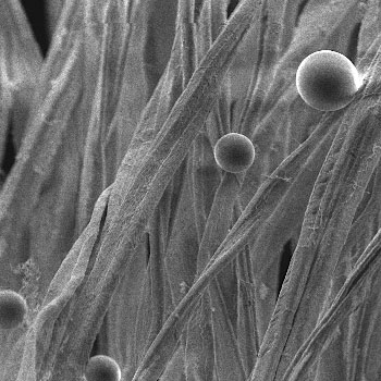 A microscopic view of a fragrance capsule on fabric