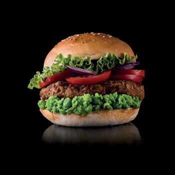 Vegetarian burger Vegetarian burger