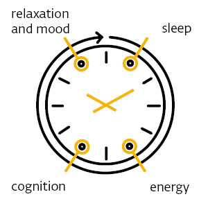 Navigating the mind-energy continuum