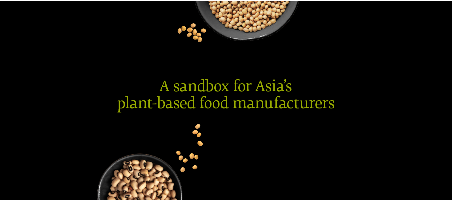 A sandbox for Asia’s plant-based food manufacturers