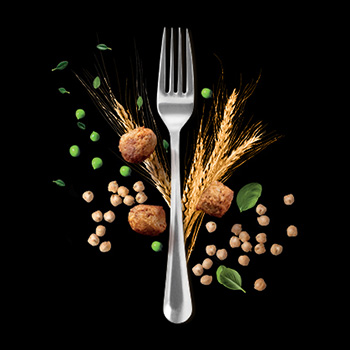 Protein Protein