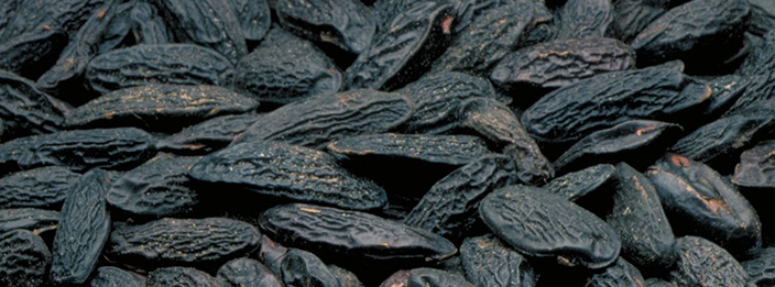 Tonka beans