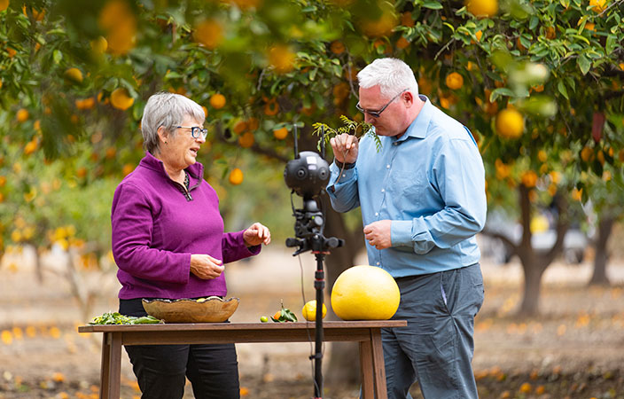 UCR's Citrus Variety Collection with Dr Tracy Kahn