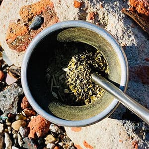 Yerba mate powder