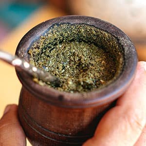 Yerba mate