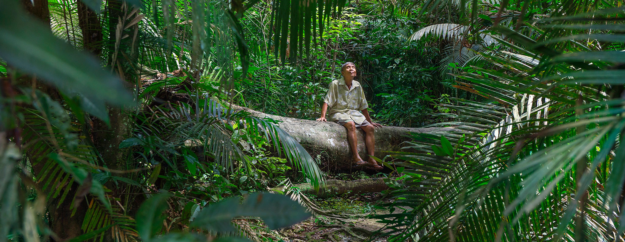 Givaudan Fragrances launches its FiveCarbon Path™ Givaudan