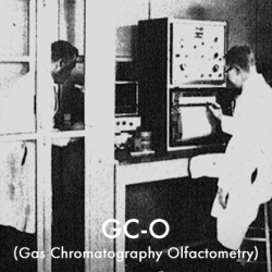 GC-O (Gas Chromatography Olfactometry)