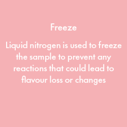 Liquid nitrogen is used to freeze the sample to prevent any reactions that could lead to flavour loss or changes