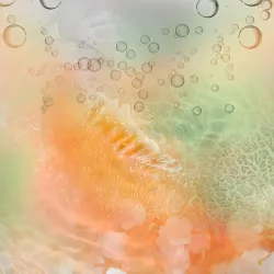 A close-up view of a textured surface resembling melon, highlighted in soft shades of orange and green. Bubbles float above, adding a fresh and vibrant mood.