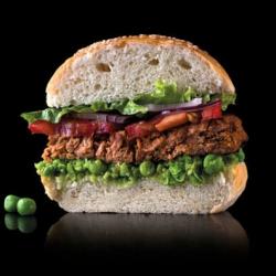 Plant-based meat and fish alternatives