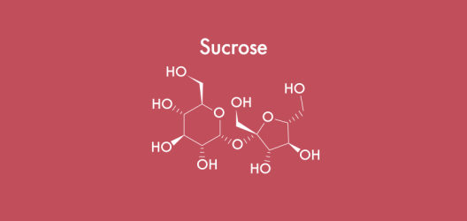 Chemical structure of sucrose