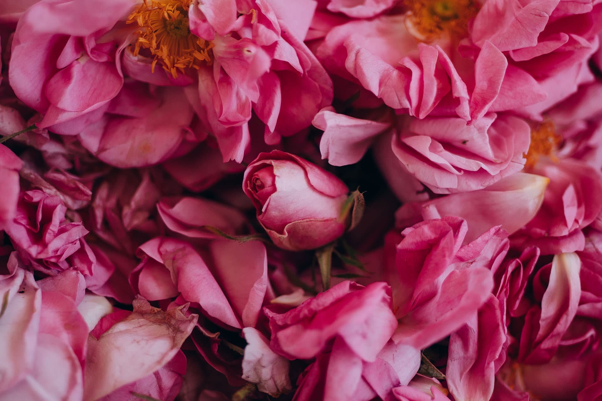 Fine fragrances Givaudan