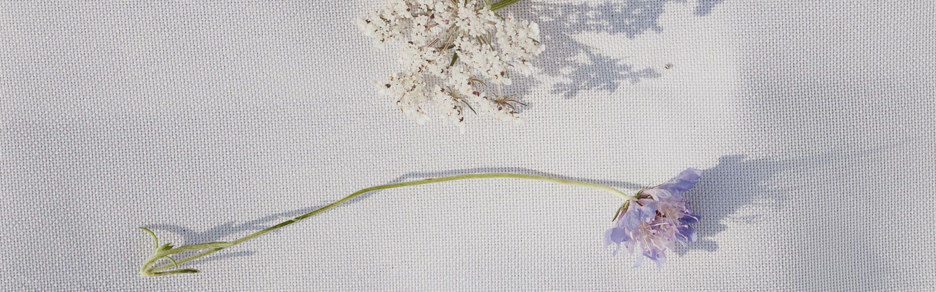 Flowers on white cloth