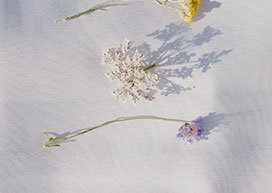 Flowers on white cloth