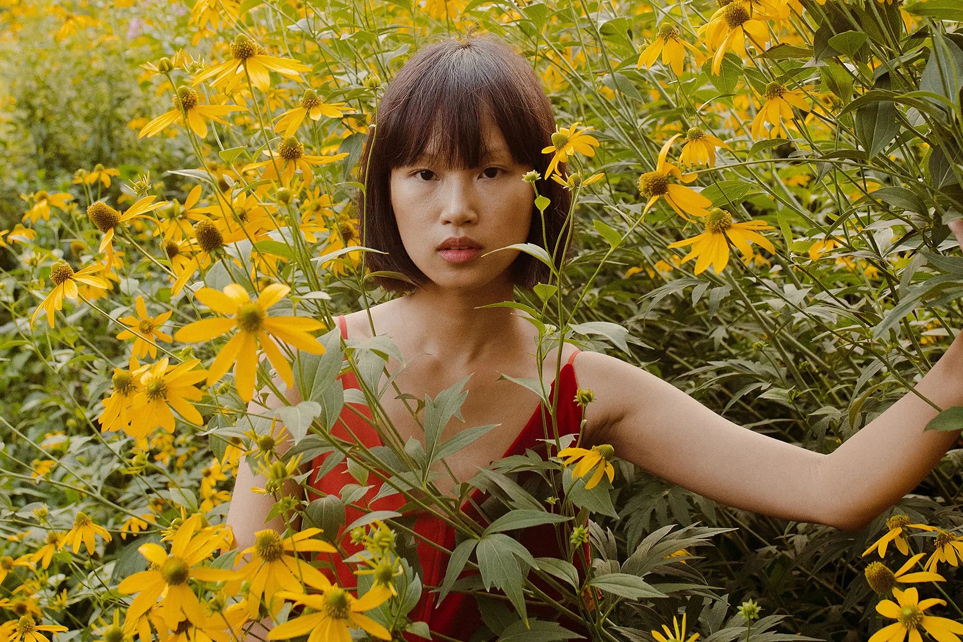 Woman in field of yellow flowers