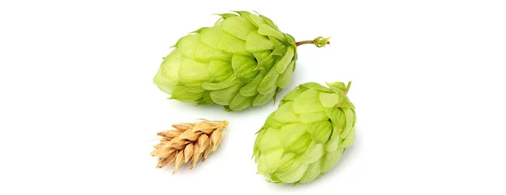 Hop