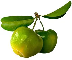 Green acerola