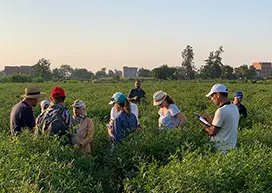 Sustainable jasmin training programme in Egypt