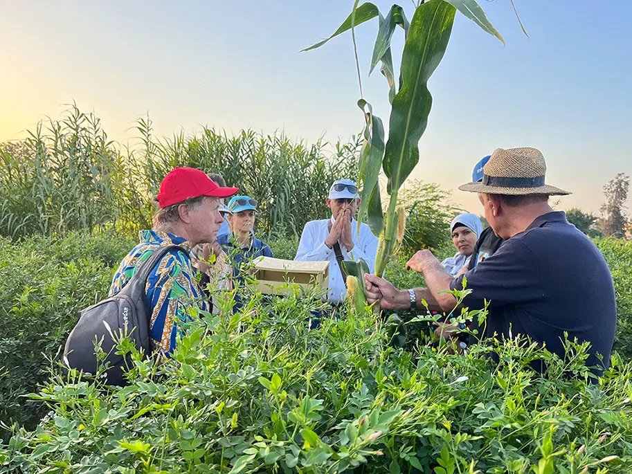 Sustainable jasmin training programme in Egypt