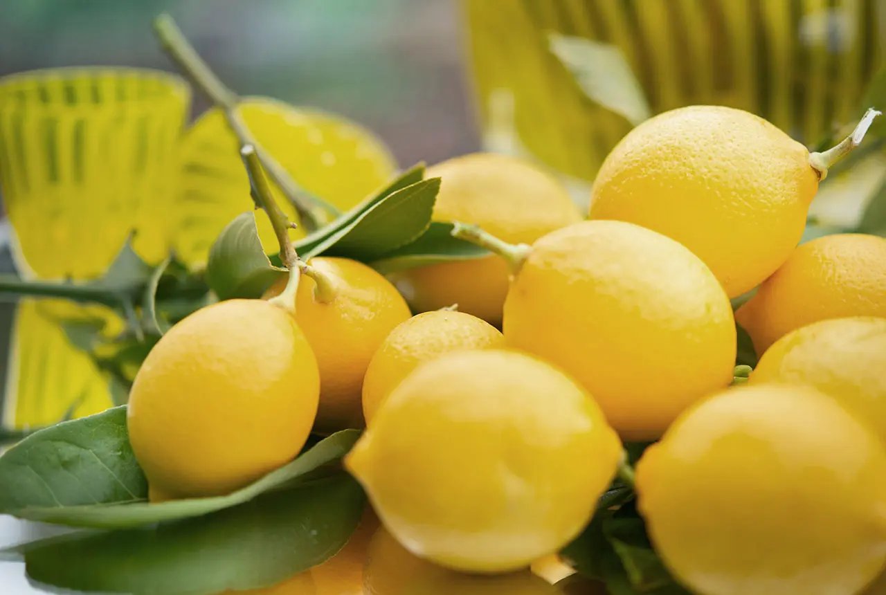 Lemons